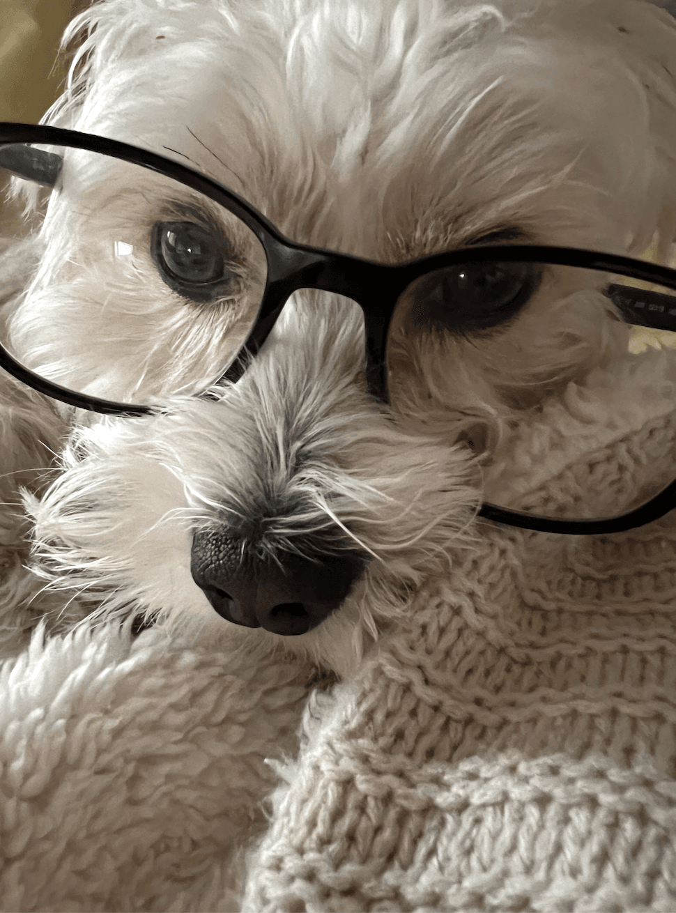 Noah trying on glasses!